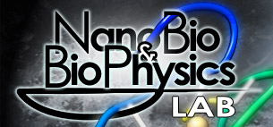 NanoBio and BioPhysics Lab