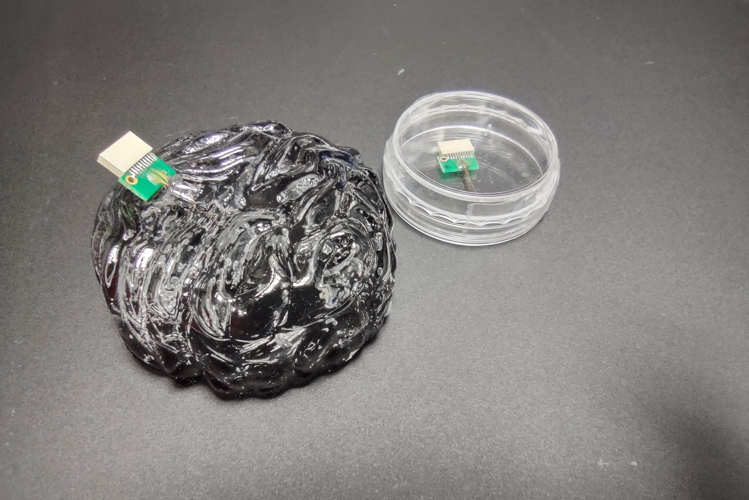 神經探針晶片植入大腦模擬