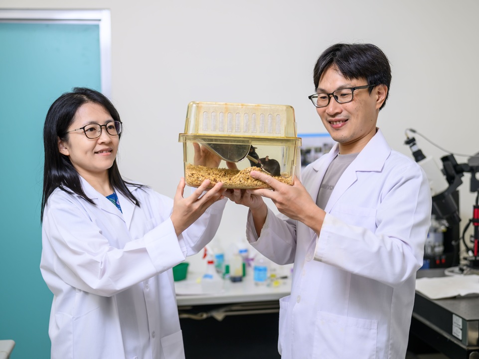 神經科學研究所陳摘文(右)與林貝容副教授