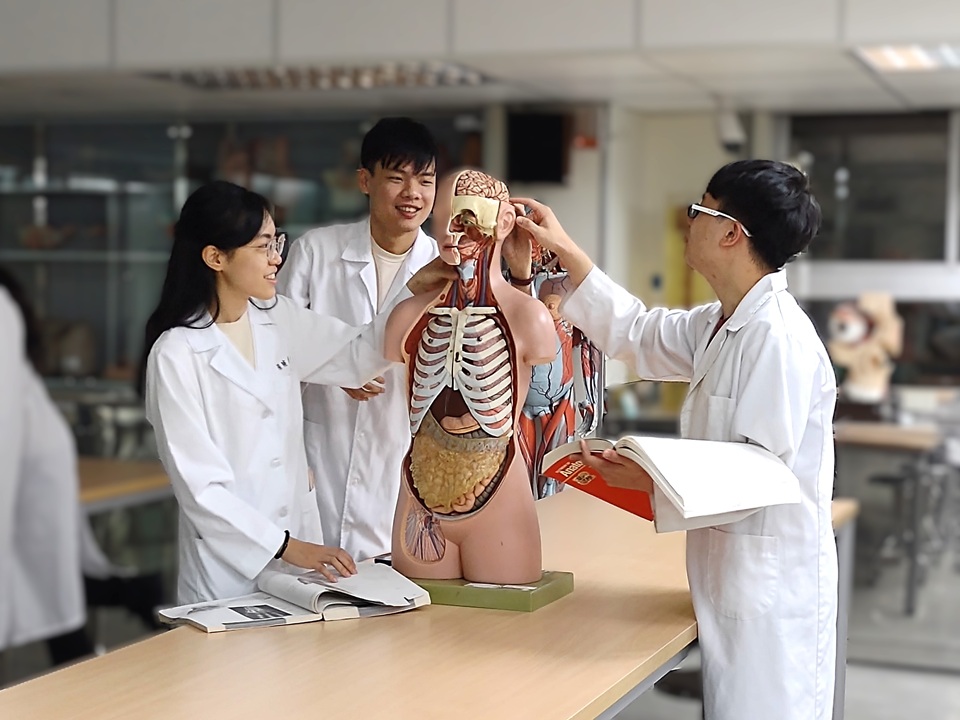 此研究初步證實了腸道菌相與大腦健康的關聯性，至於其中的因果機制與作用，則有待後續追蹤研究釐清