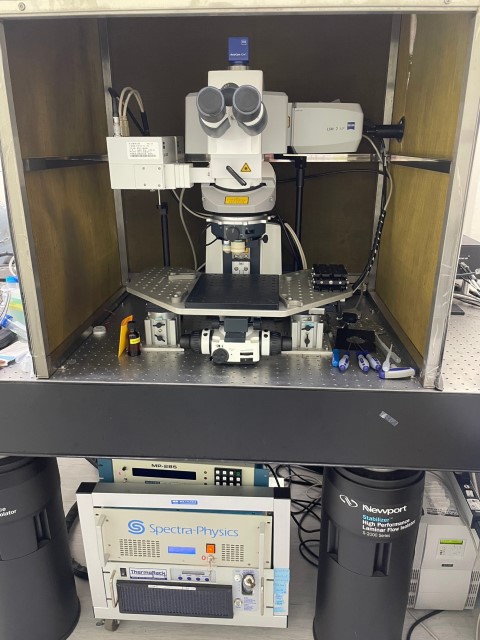 雙光子雷射掃描共軛焦顯微鏡 Confocal Microscope-Zeiss LSM7MP