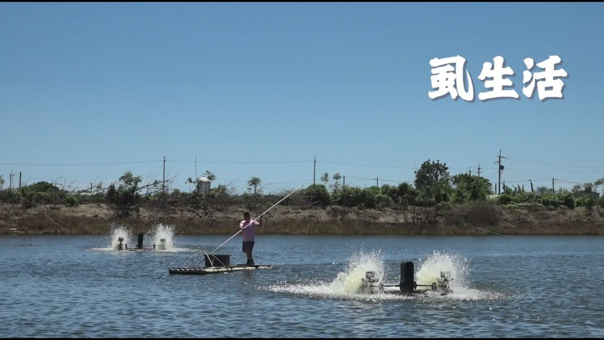 虱生活