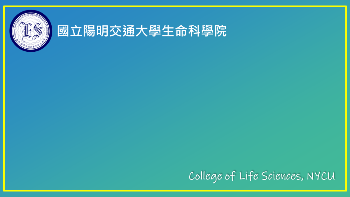 視訊背板
