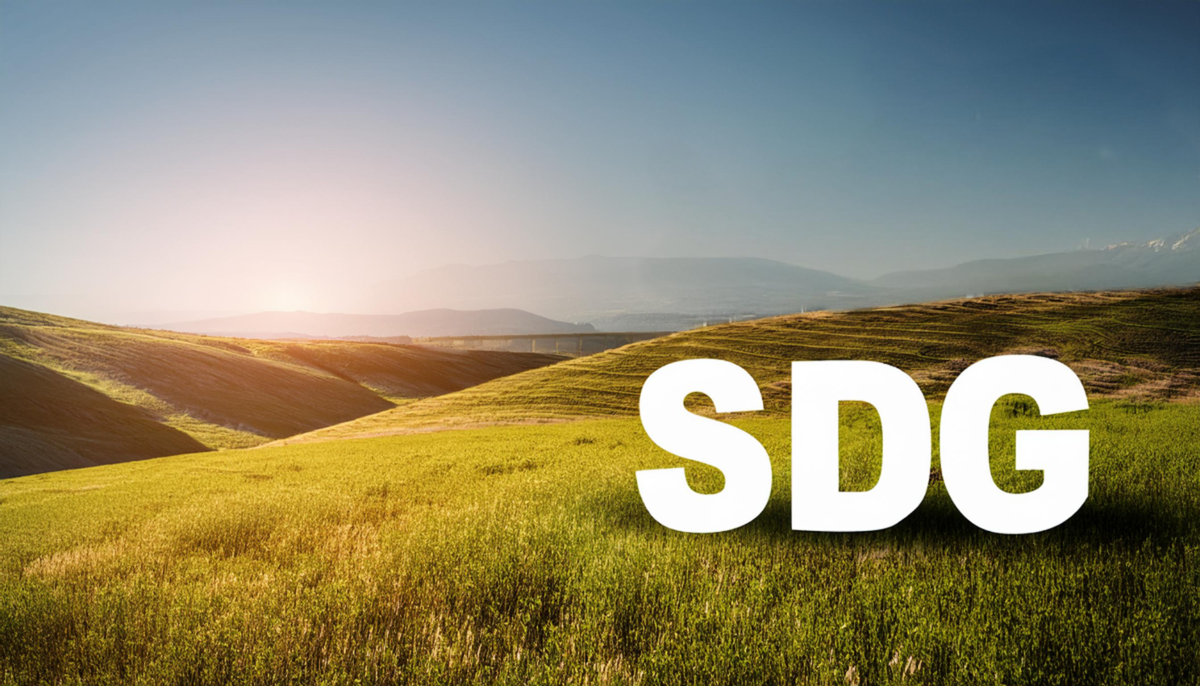 SDG