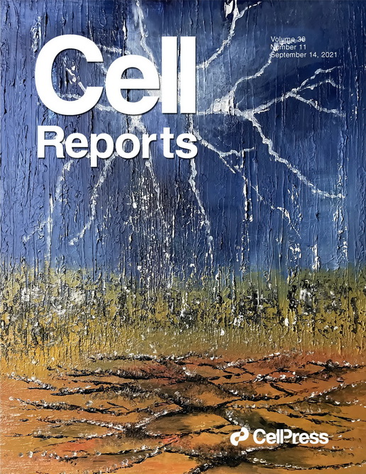 Cell Reports 封面