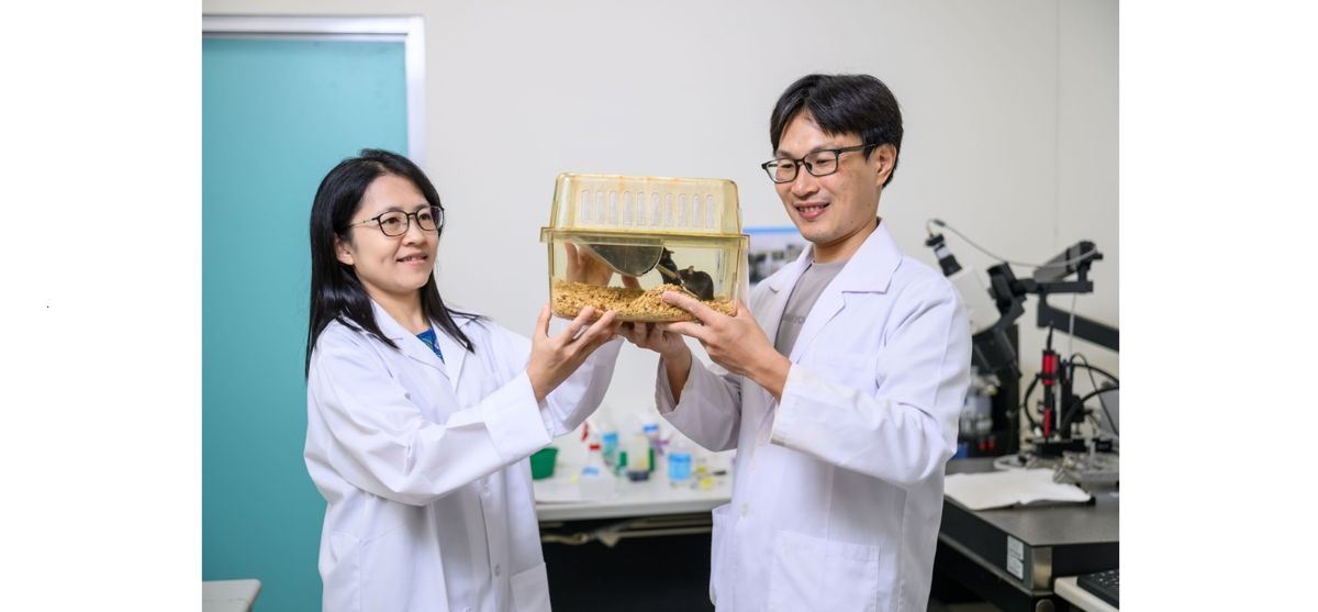 神經科學研究所陳摘文(右)與林貝容副教授