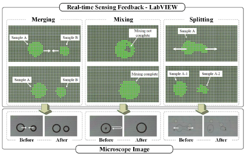 real-time-sensing-feedback