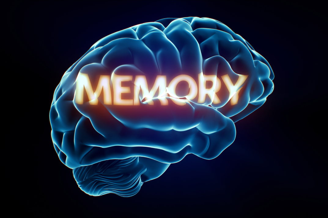 The brain learns starting from the proximate memories. (photo from Getty Images)