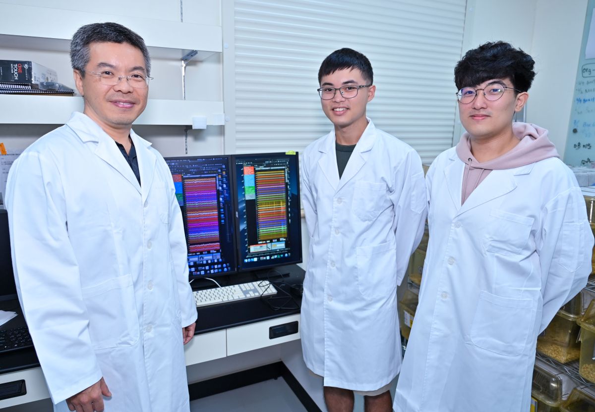 Team members participating in this research also include doctoral student Yu-Che Chung (middle of photo) and master's student Hong-Yan Chen (First from right) from the Institute of Neuroscience. They collaborated with colleagues at the National Institutes of Health laboratory in the US under the guidance of Professor Lin (First from left) , successfully completing this study.