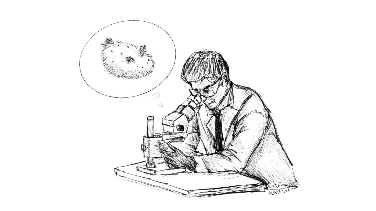 The president studied the neural cells of the invertebrate sea hare using a microscope.