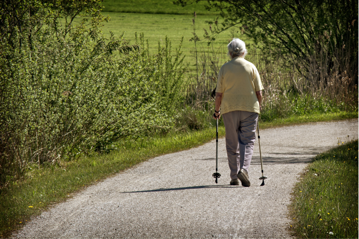 Aging: A Multifaceted State Beyond Functionality