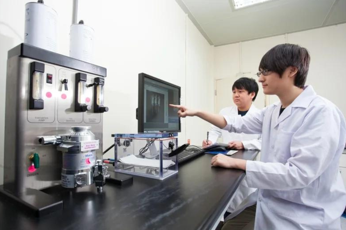 The newly established CEB at NYCU consists of the Department of Biological Science and Technology, the Institute of Bioinformatics and Systems Biology, the Institute of Molecular Medicine & Bioengineering, the Industrial Development Graduate Program of CBT, the Interdisciplinary Neuroscience Ph.D. Degree Program, and the Ph.D. Degree Program of Biomedical Science & Engineering.