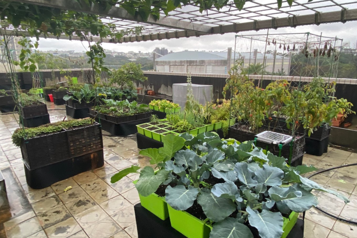 Championing Net-Zero Emissions: Institute of Environmental Engineering’s DIYGreen Urban Farming System Revolutionizes Sustainable Living