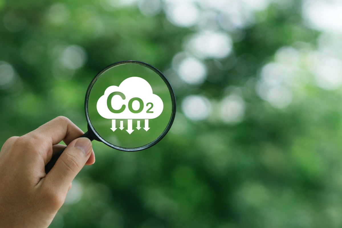 NYCU and International Scholars Pioneer "Triazole Organic Molecular Catalyst" to Aid Carbon Neutrality