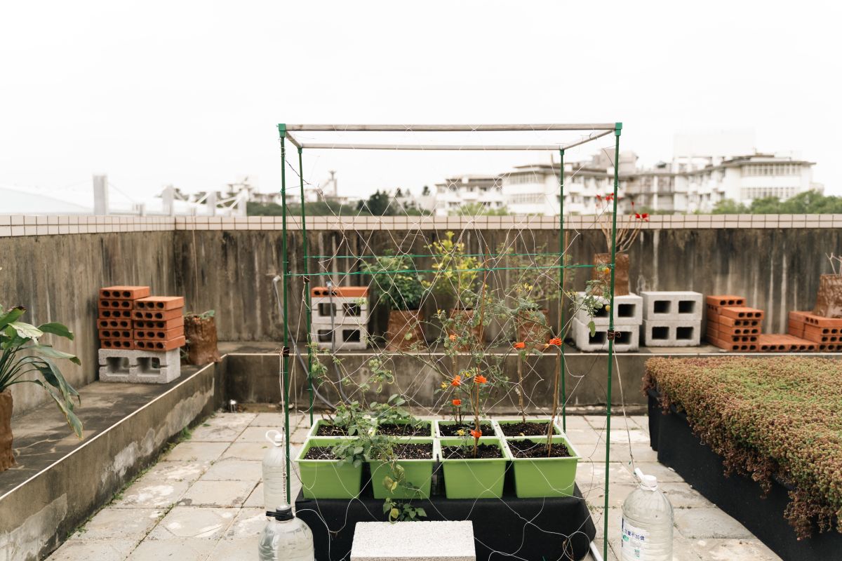 Prof. Kao presents the DIYGreen system at NYCU’s rooftop demonstration farm, where innovative, water-efficient urban farming techniques help tackle the challenges of heat islands, waste recycling, and sustainable agriculture