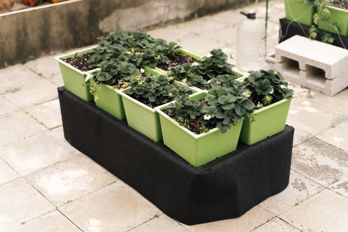 The DIYGreen system features an innovative, modular design made from recycled materials, maximizing water efficiency, improving insulation, and supporting sustainable urban farming. Its smallest unit, just 25 square centimeters, can sustain plants for at least a month