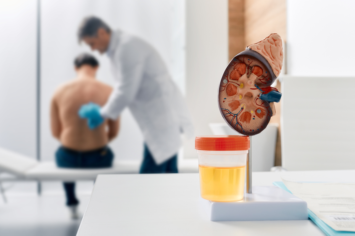 Febuxostat Shows Dual Benefits for CKD Patients