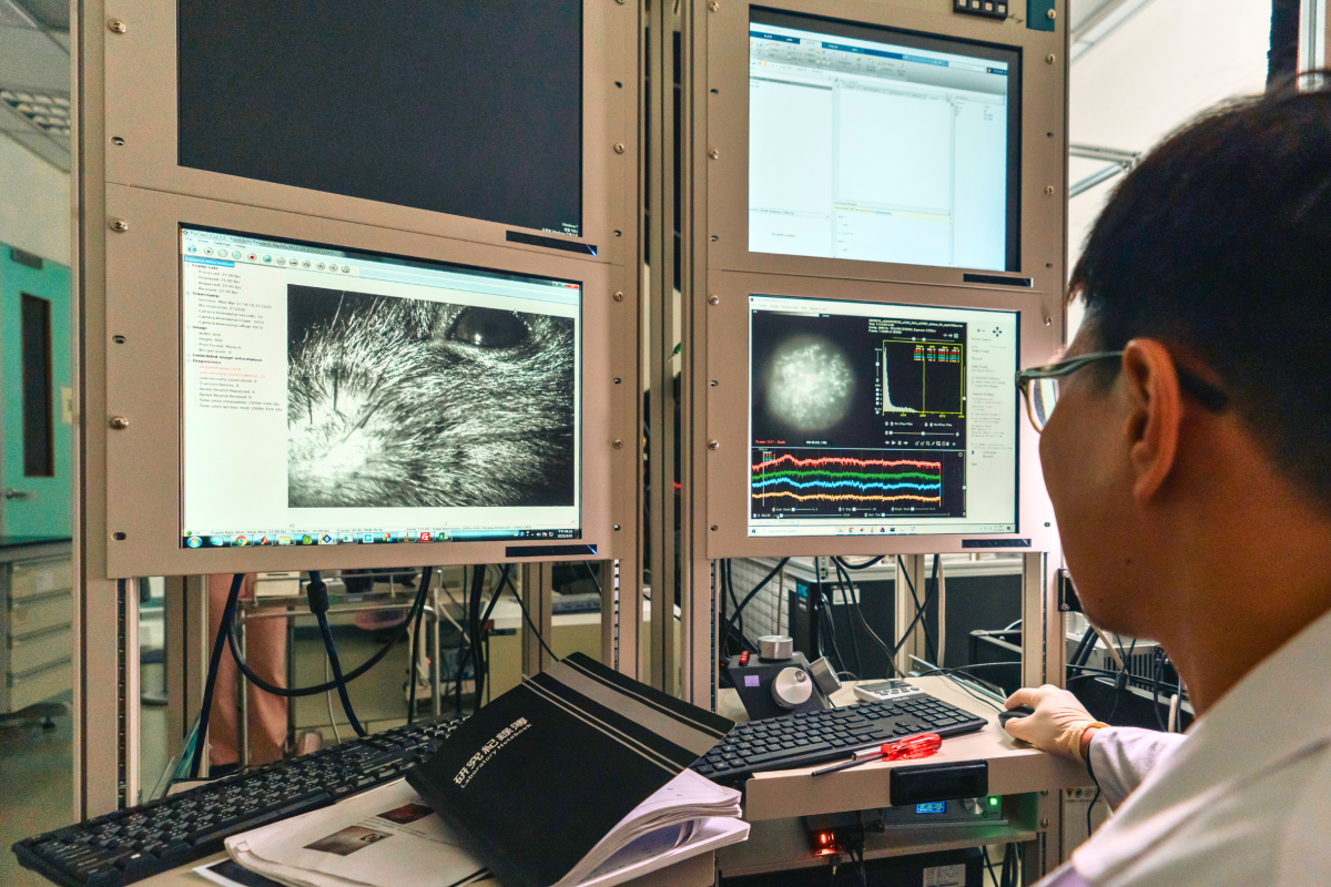 Professors Lin and Chen utilized advanced imaging techniques and voltage-sensitive fluorescent proteins, achieving the simultaneous recording of up to 26 PV-positive interneurons and overcoming previous challenges in pinpointing specific cells for study.