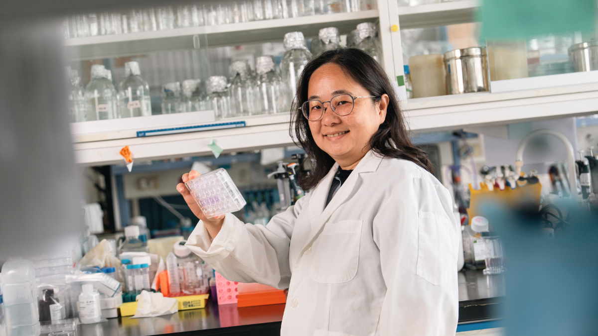 Professor Won-Jing Wang at NYCU describes the protein TTBK2 as a crucial driver for tumor growth. Her team’s discovery of how TTBK2 and HUWE1 regulate cellular antennas offers a groundbreaking strategy to halt medulloblastoma at its root, transitioning cells from dangerous division to healthy maturation.