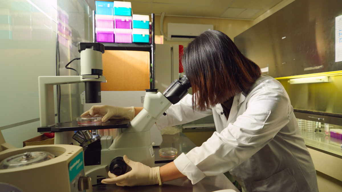 By combining rare cerebellar electroporation with cutting-edge neuroimaging, researchers are finally “seeing all sides of the black box.” This interdisciplinary approach bridges the gap between microscopic cell biology and clinical oncology to reveal the hidden drivers of pediatric brain tumors.