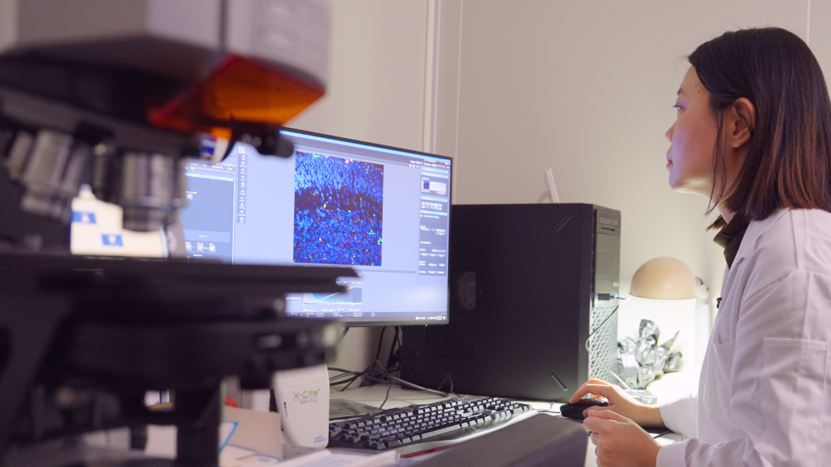 The discovery of the primary cilia’s dual role in development and tumorigenesis marks a new era in brain science. This collaborative effort continues to explore the microscopic drivers of conditions like lissencephaly and cerebellar ataxia, seeking to solve the most complex puzzles of the human brain.