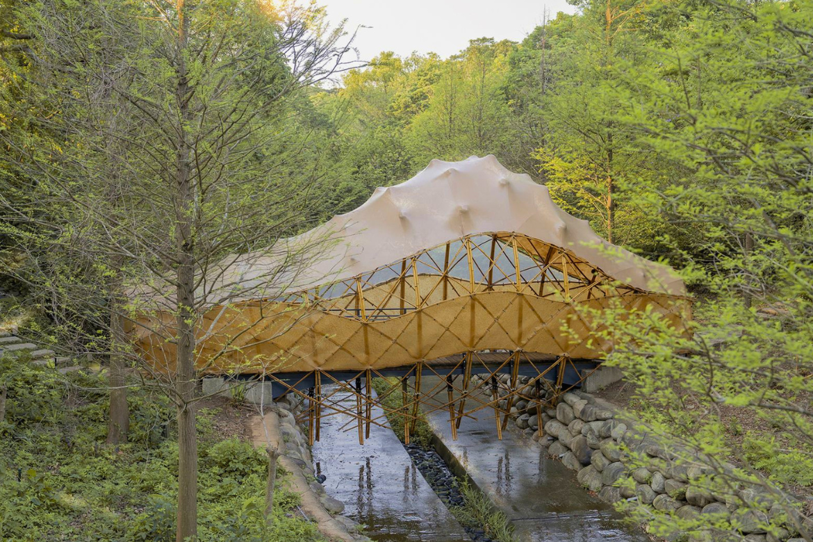 Bridge Cocoon, a contemporary bamboo structure by a lakeside grove.
