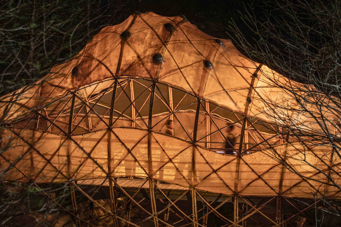 Bridge Cocoon bamboo structure illuminated at night on campus.
