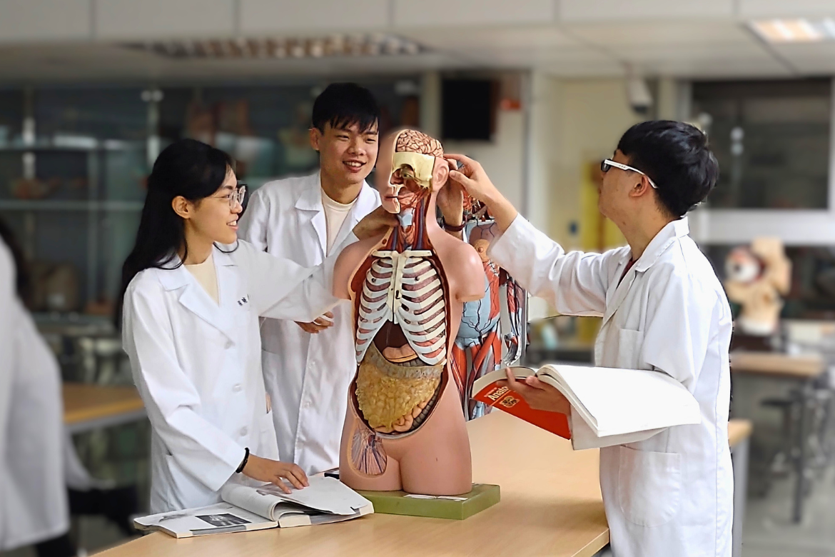 The study identifies a significant association between gut microbial composition and Alzheimer’s disease biomarkers, providing new insights into the gut-brain axis while highlighting the need for further research to establish causality.