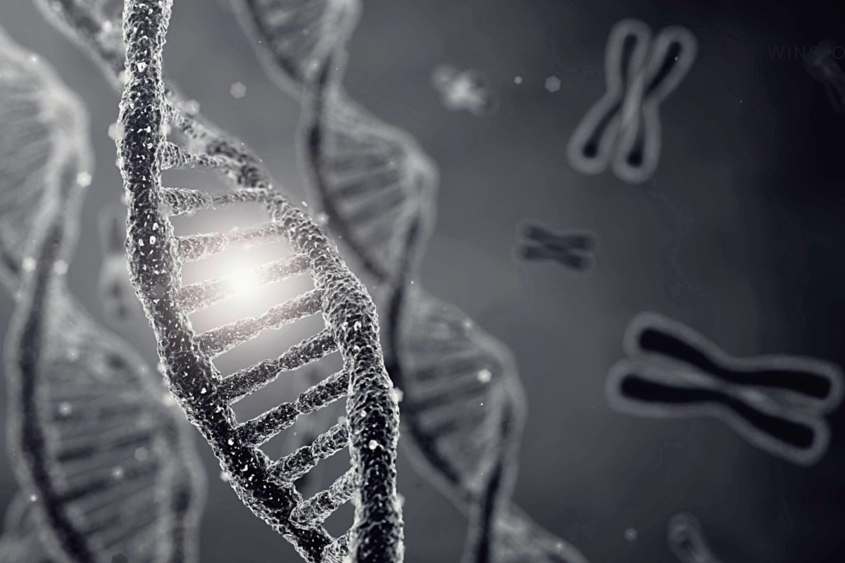 The study was featured on the cover of Nano Letters.