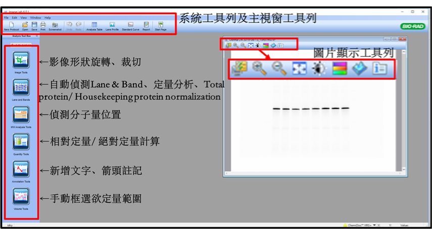 Image Lab