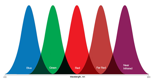 BIO-RAD ChemDoc MP- Fluorophores chart